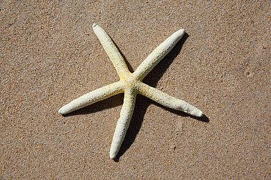 《泰坦之旅2》抢先体验跳票！将于今夏推出